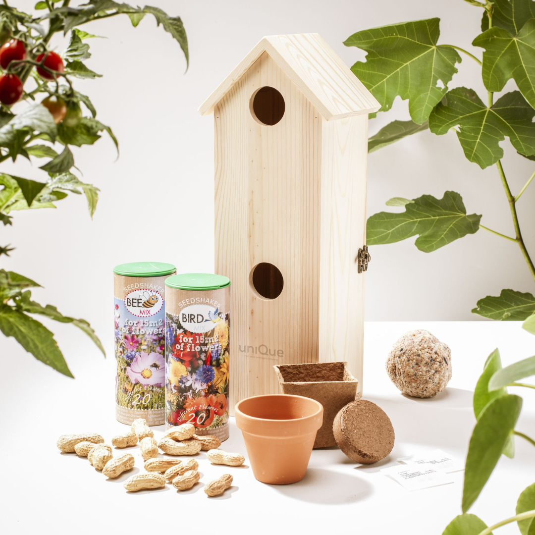 GreenTweety | Duurzame wijnkist en vogelhuisje gemaakt van FSC hout