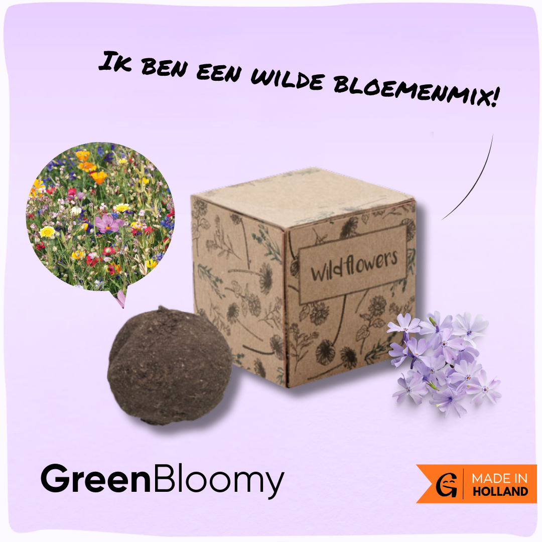 GreenBloomy | Duurzame zaadbom met wilde bloemenmix