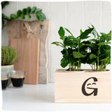 GreenCasey | Duurzame plantenbak