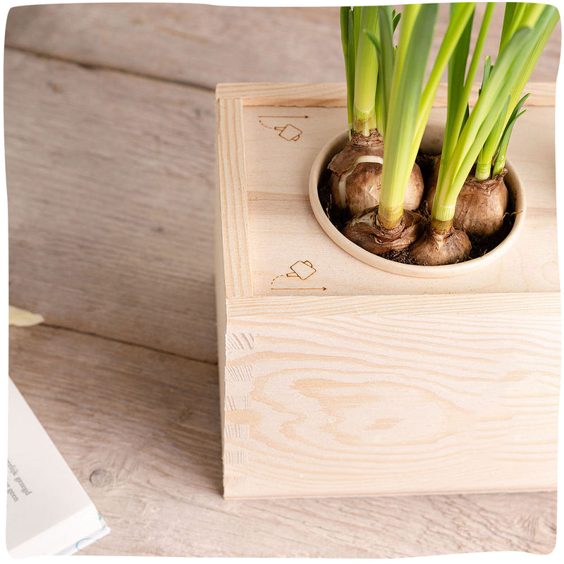 GreenCasey | Duurzame plantenbak