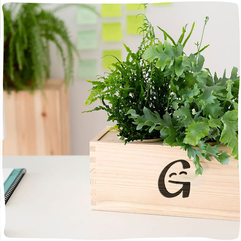 GreenCasey | Duurzame plantenbak