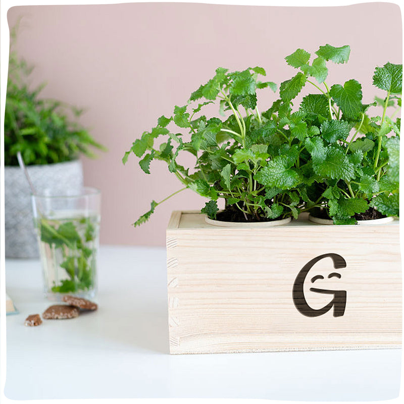 GreenCasey | Duurzame plantenbak